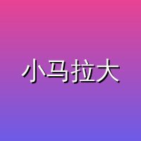 小马拉大车